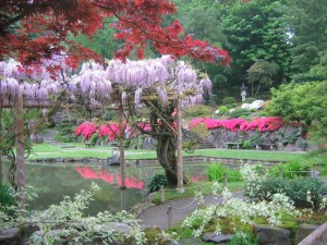 Seattle Arboretum