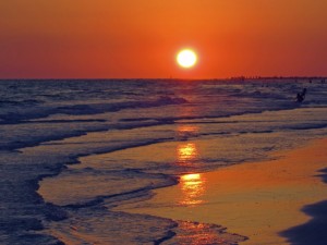 sunset siesta key