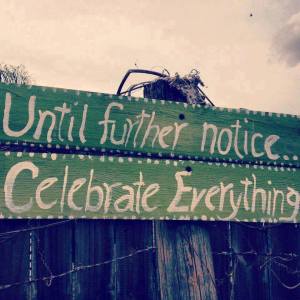 celebrate everything